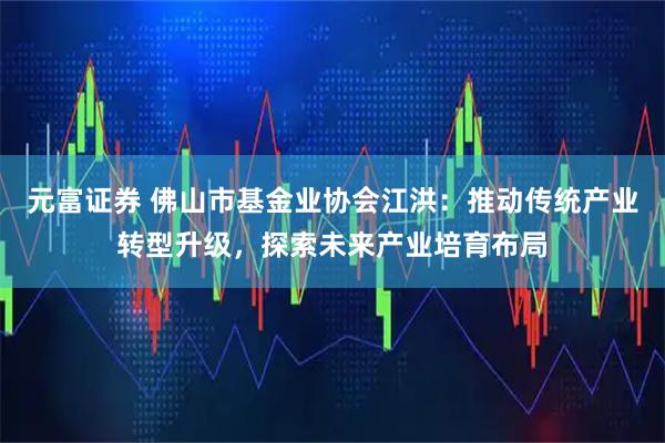 元富证券 佛山市基金业协会江洪：推动传统产业转型升级，探索未来产业培育布局