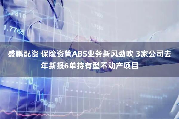 盛鹏配资 保险资管ABS业务新风劲吹 3家公司去年新报6单持有型不动产项目
