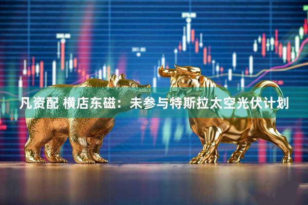 凡资配 横店东磁：未参与特斯拉太空光伏计划
