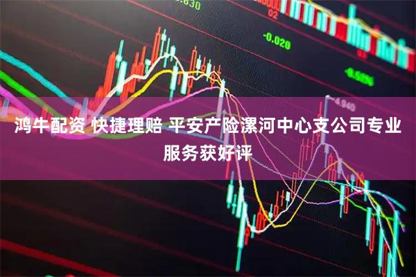 鸿牛配资 快捷理赔 平安产险漯河中心支公司专业服务获好评