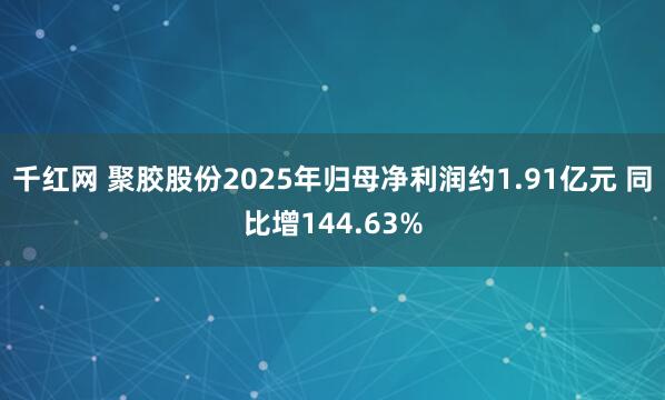 千红网 聚胶股份2025年归母净利润约1.91亿元 同比增144.63%